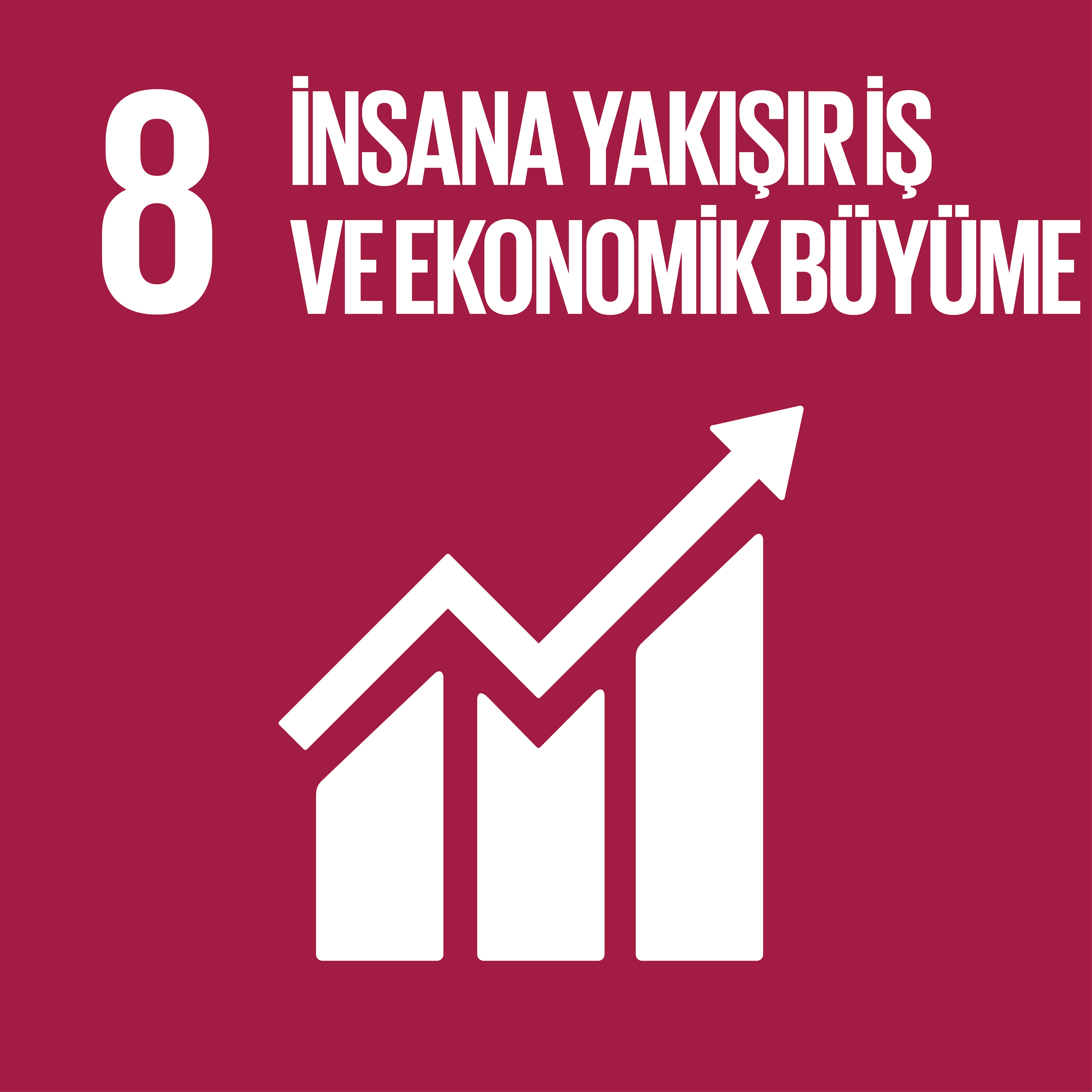 Amaç 8: İnsana yakışır iş ve ekonomik büyüme