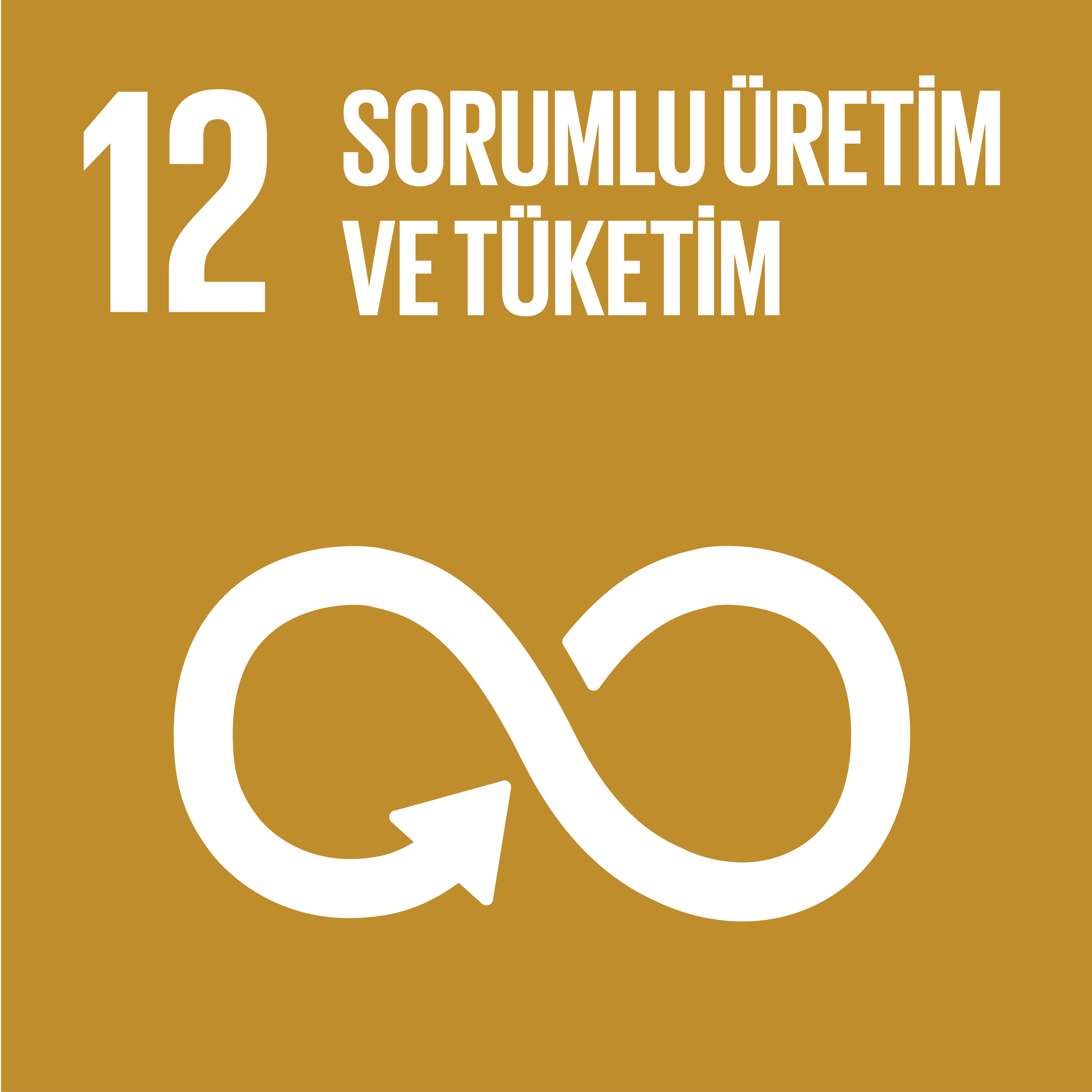 Amaç 12: Sorumlu üretim ve tüketim