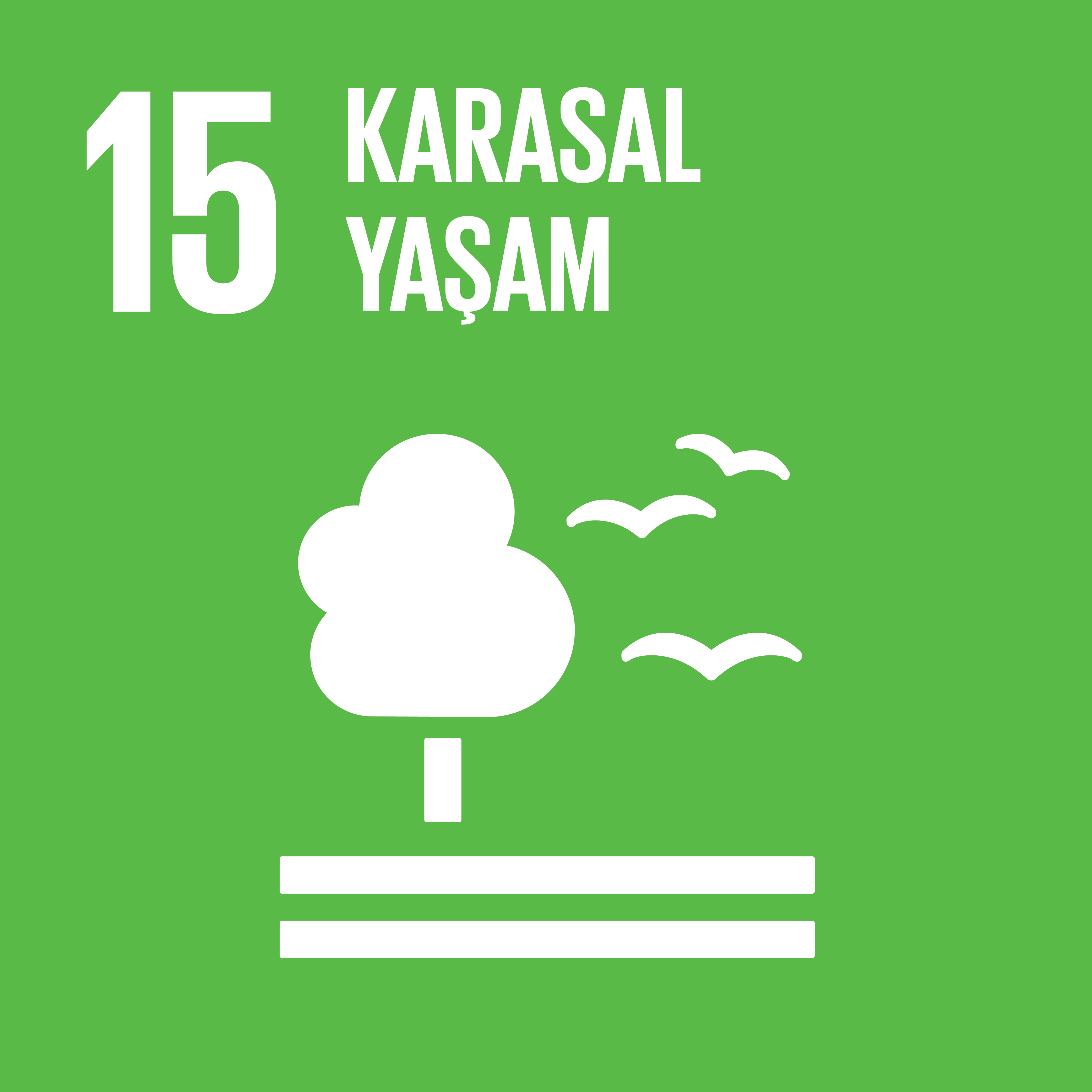 Amaç 15: Karasal yaşam
