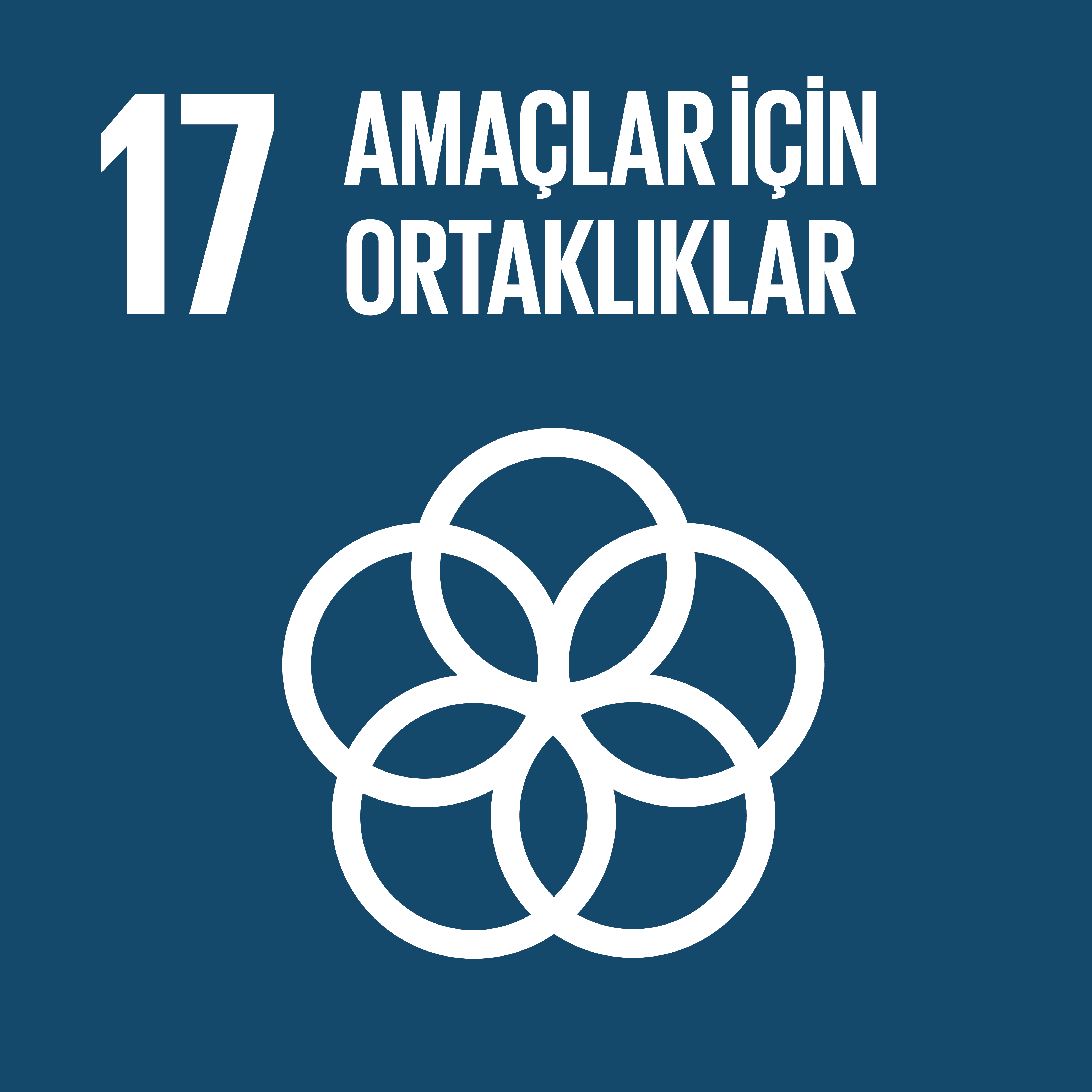 Amaç 17: Amaçlar için ortaklıklar